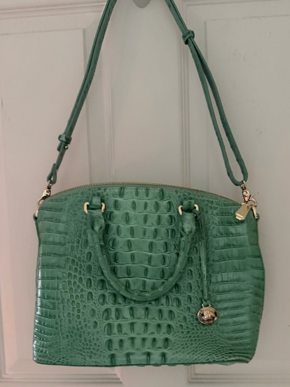Brahmin Mint Green Croc-Embossed Leather Tote - Picture 7 of 8